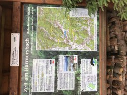 Zell am Harmersbach 2019