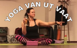 Yogibears